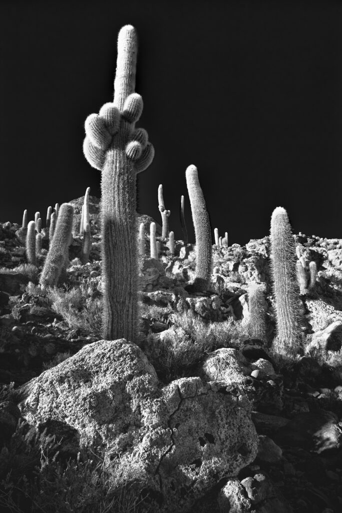 Bolivia, Southern Altiplano, Salar de Uyuni.