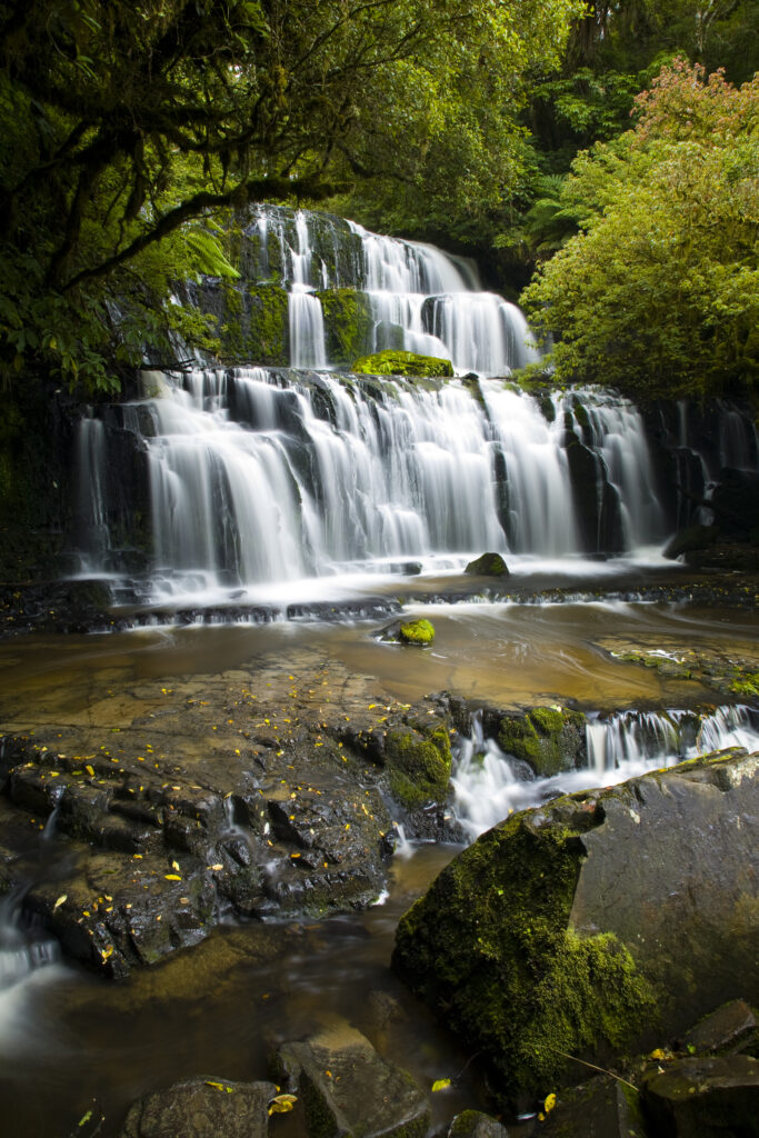 New Zealand, Southland, The Catlins.