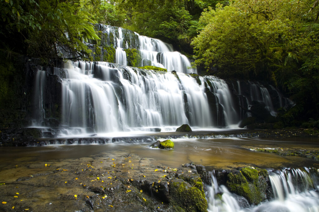 New Zealand, Southland, The Catlins.