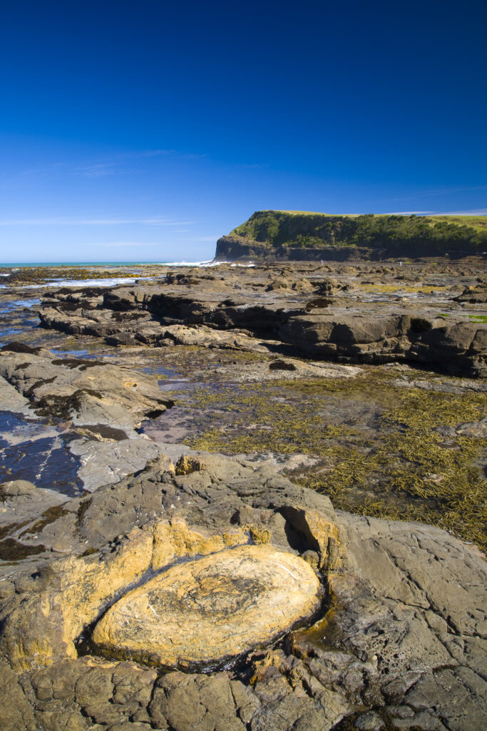 New Zealand, Southland, The Catlins.