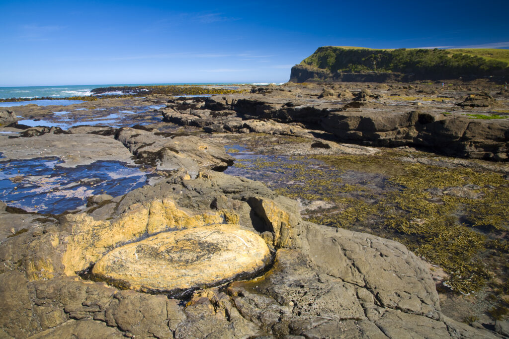 New Zealand, Southland, The Catlins.