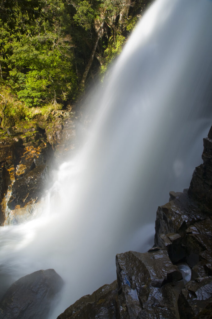 Australia, Tasmania, Cradle Mt – Lake St Clair National Park.