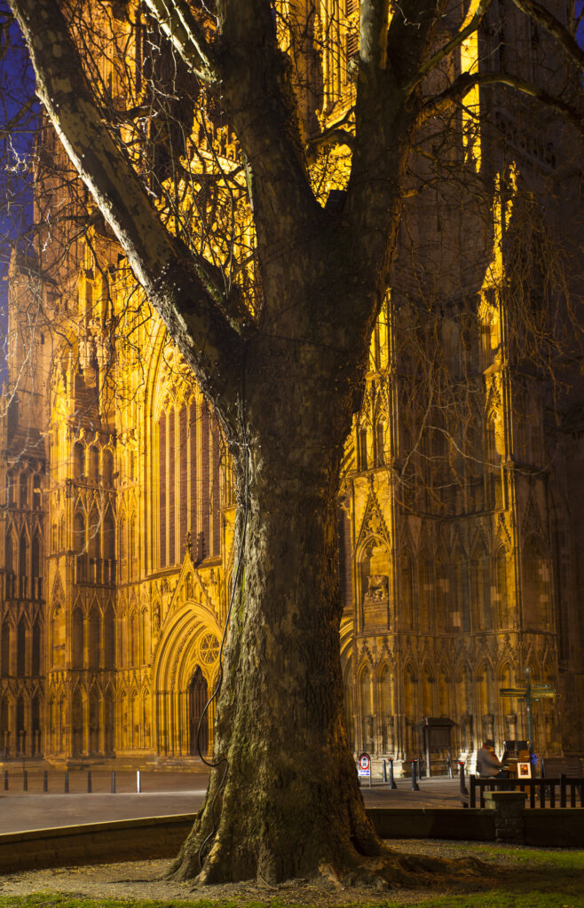 England, North Yorkshire, York City.