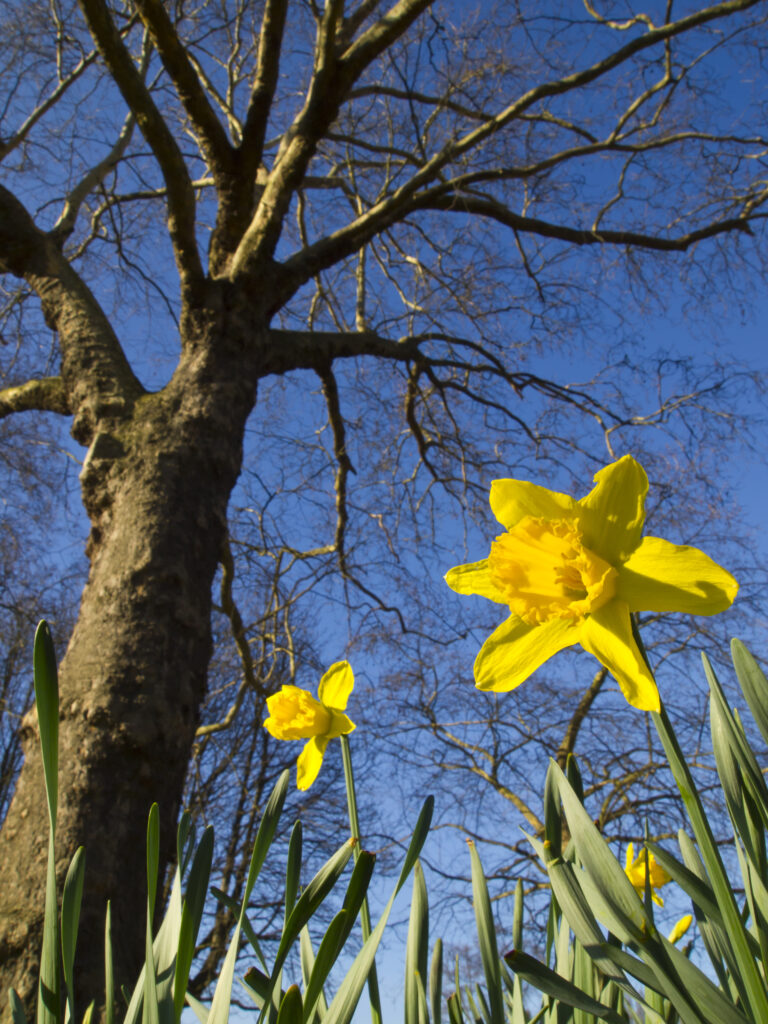 England, London, Hyde Park.