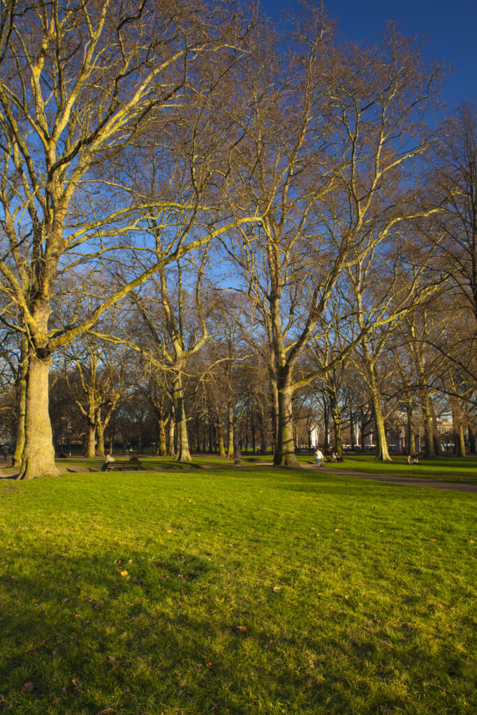 England, London, Green Park.