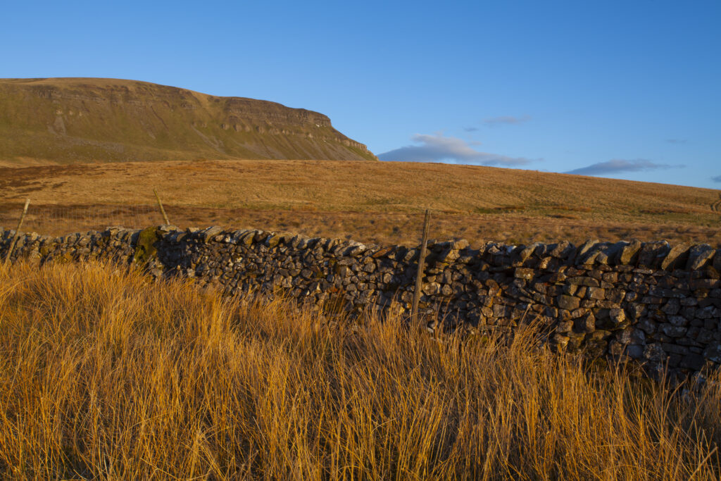 England, North Yorkshire, Yorkshire Dales National Park.