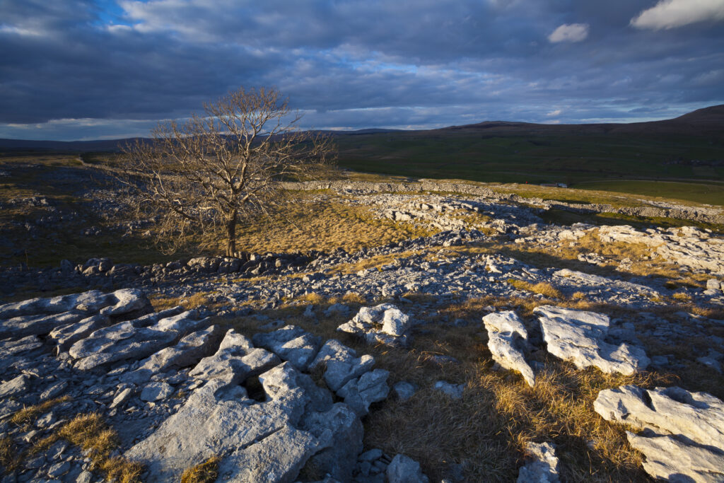 England, North Yorkshire, Yorkshire Dales National Park.