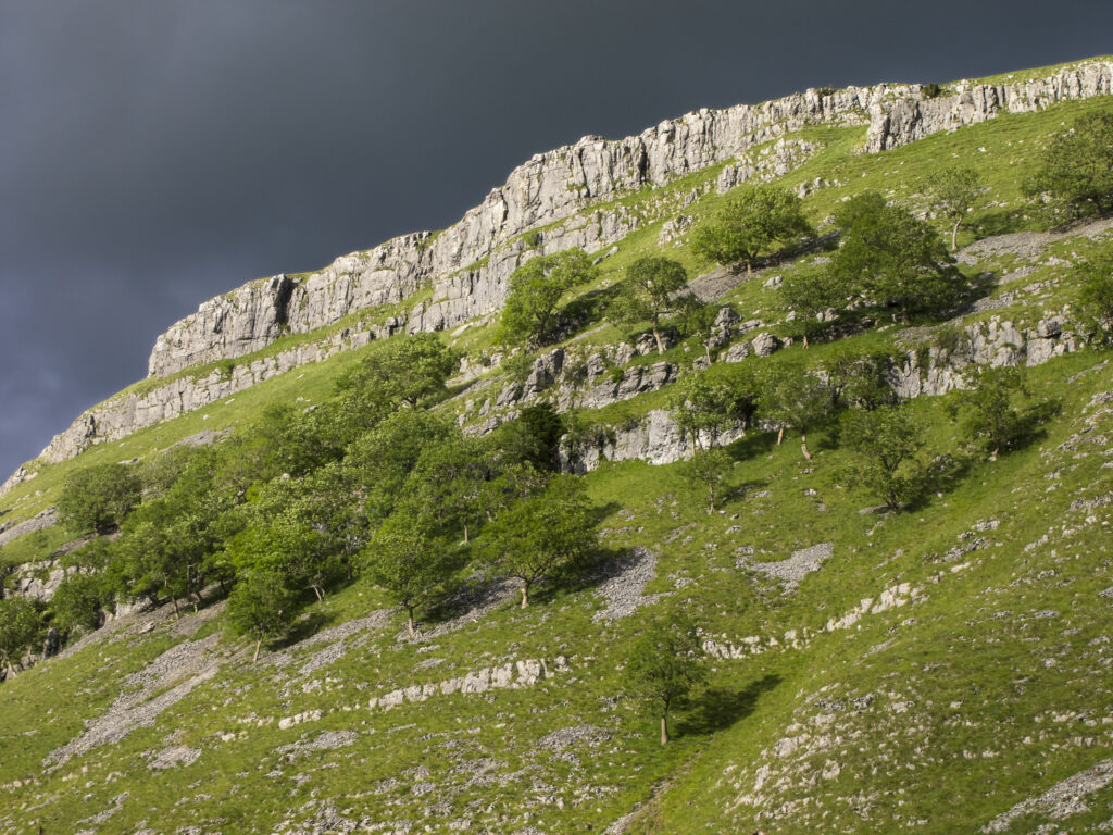 England, North Yorkshire, Yorkshire Dales National Park.