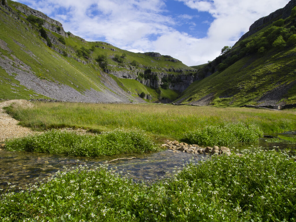 England, North Yorkshire, Yorkshire Dales National Park.