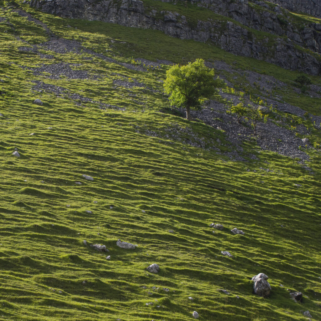 England, North Yorkshire, Yorkshire Dales National Park.