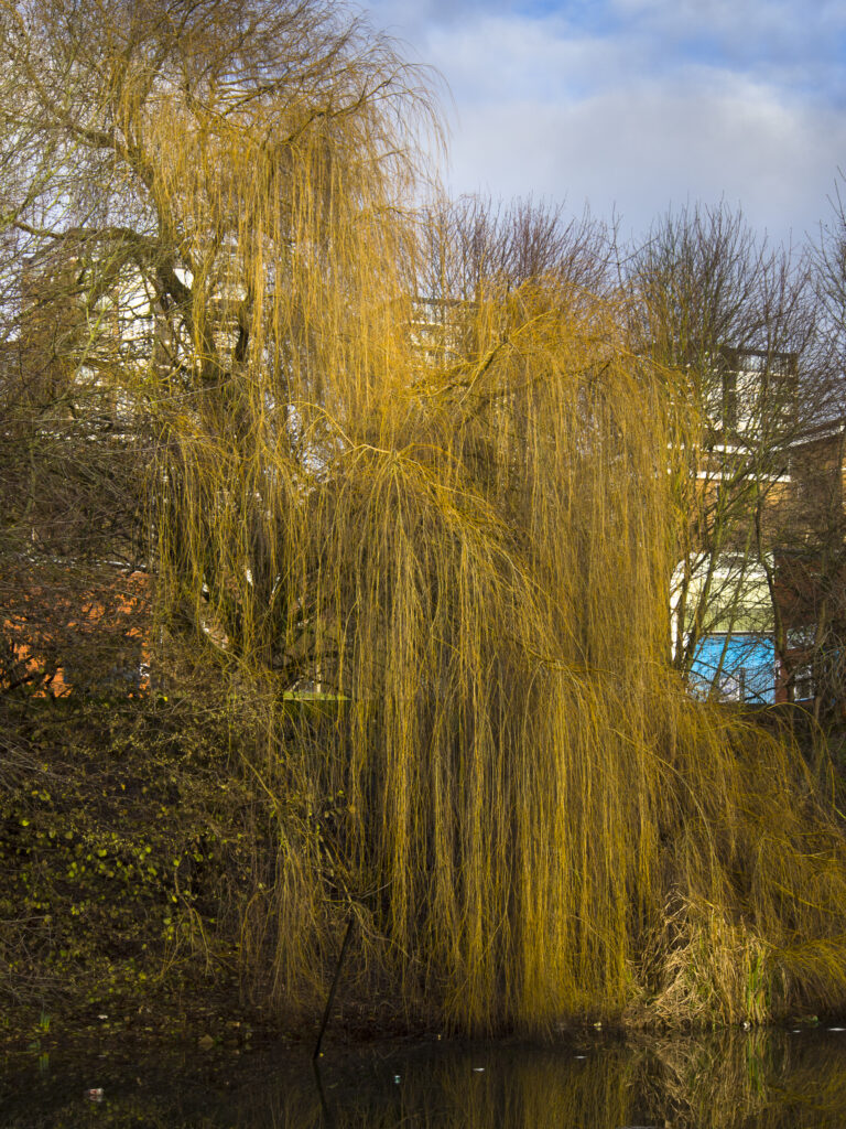 England, West Midlands, Stourbridge Canal.