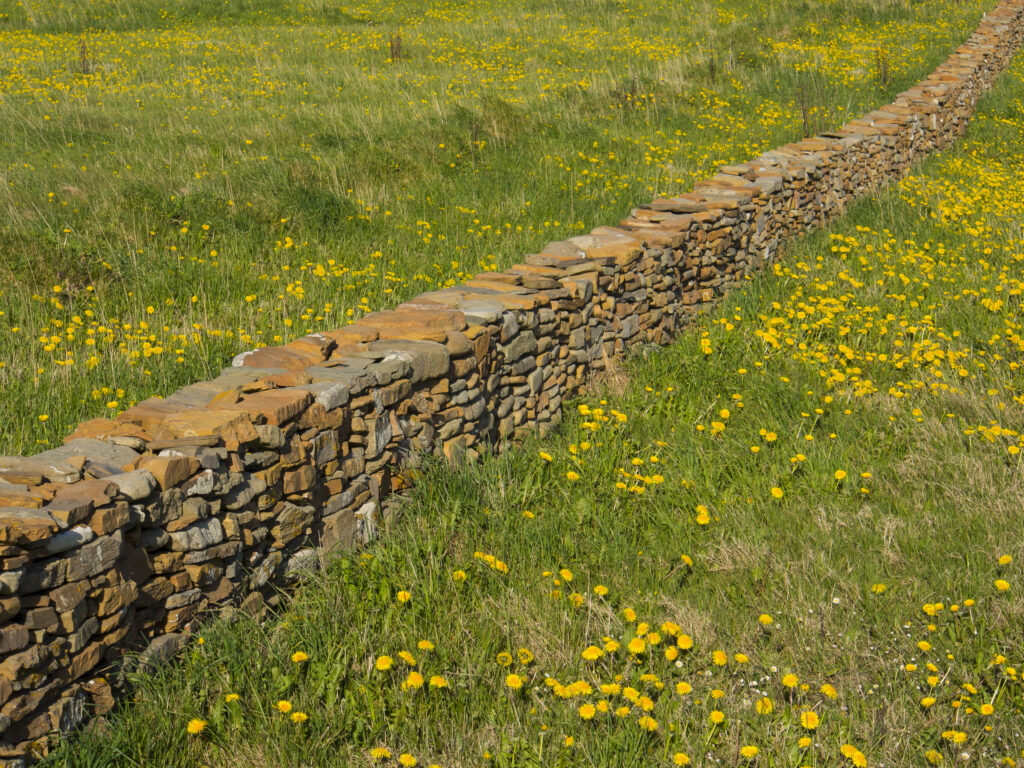 Scotland, Orkney Islands, Mainland Orkney.