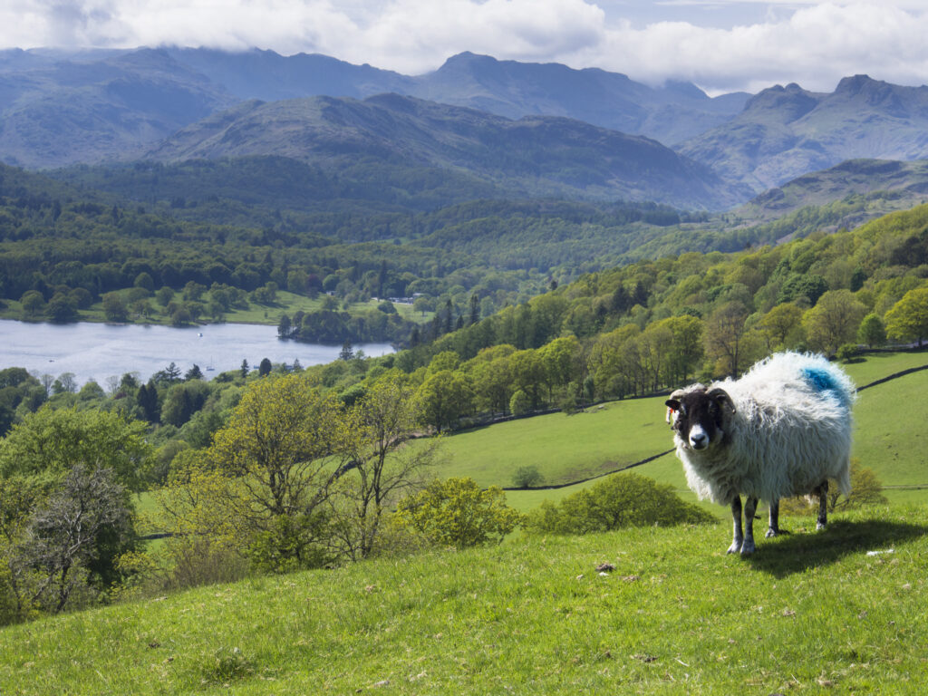 England, Cumbria, Lake District National Park.