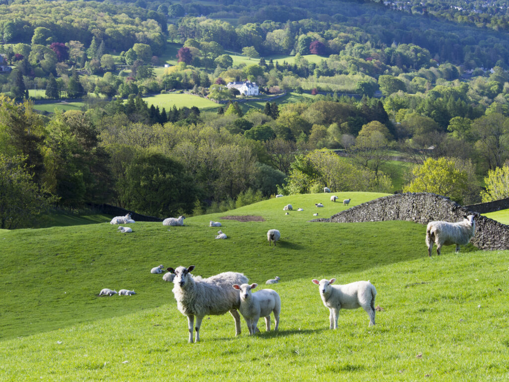 England, Cumbria, Lake District National Park.