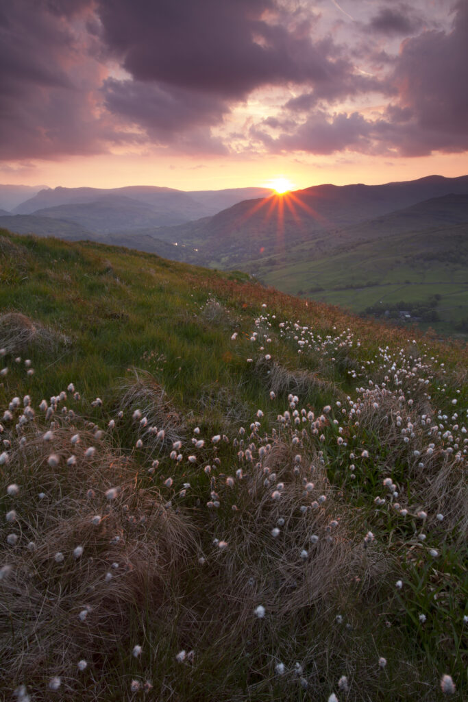 England, Cumbria, Lake District National Park.