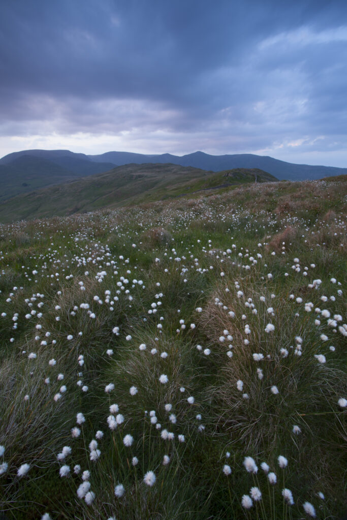 England, Cumbria, Lake District National Park.