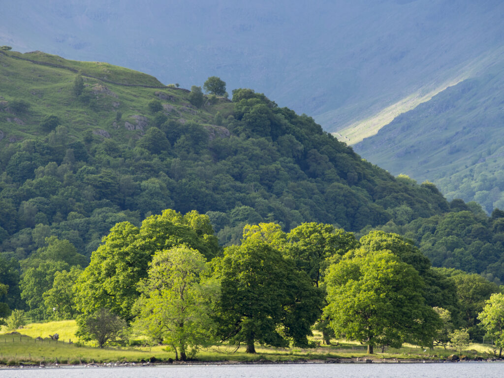 England, Cumbria, Lake District National Park.