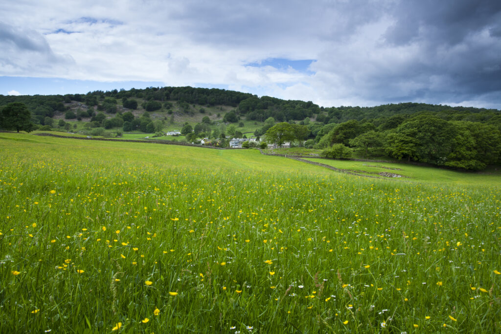 England, Cumbria, Lake District National Park.