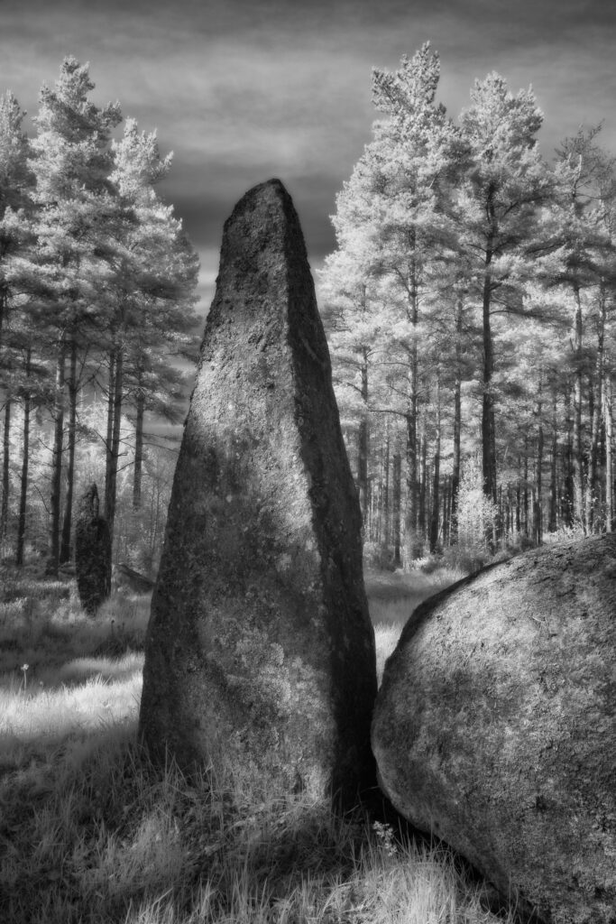 Cothiemuir Wood Stone Circle, Aberdeenshire, Scotland.