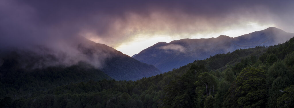 New Zealand, South Island, Fiordland National Park.
