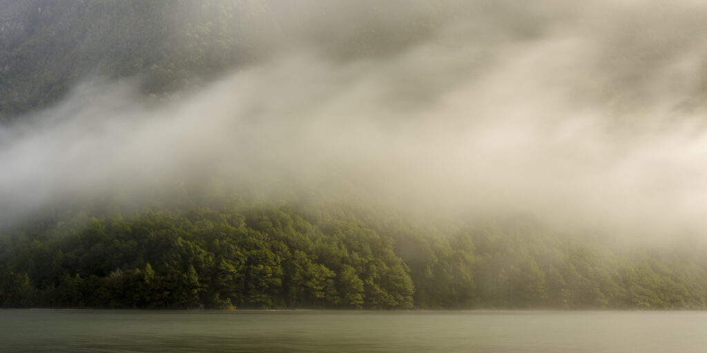 New Zealand, South Island, Fiordland National Park.