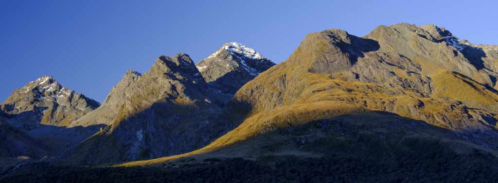 New Zealand, South Island, Fiordland National Park.