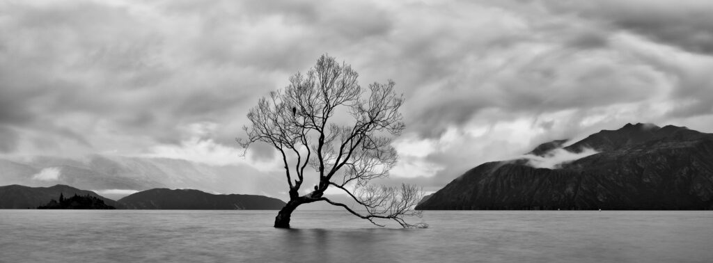 New Zealand, Otago, Lake Wanaka.