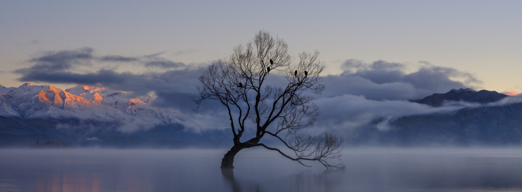 New Zealand, Otago, Lake Wanaka