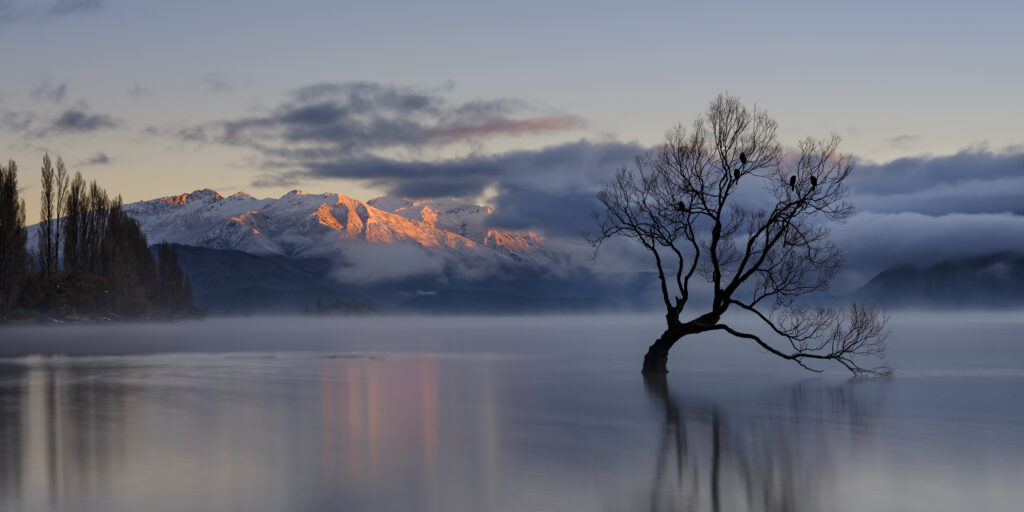 New Zealand, Otago, Lake Wanaka