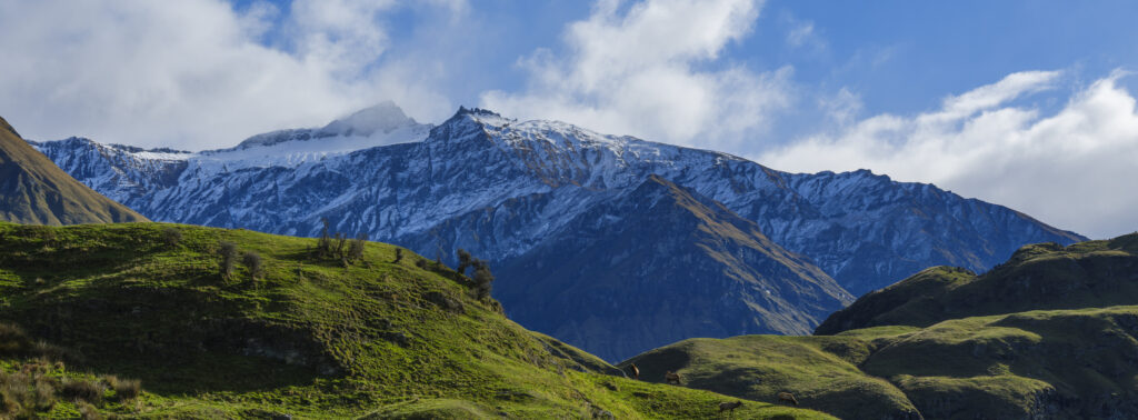 New Zealand, South Island, Mount Aspiring National Park.