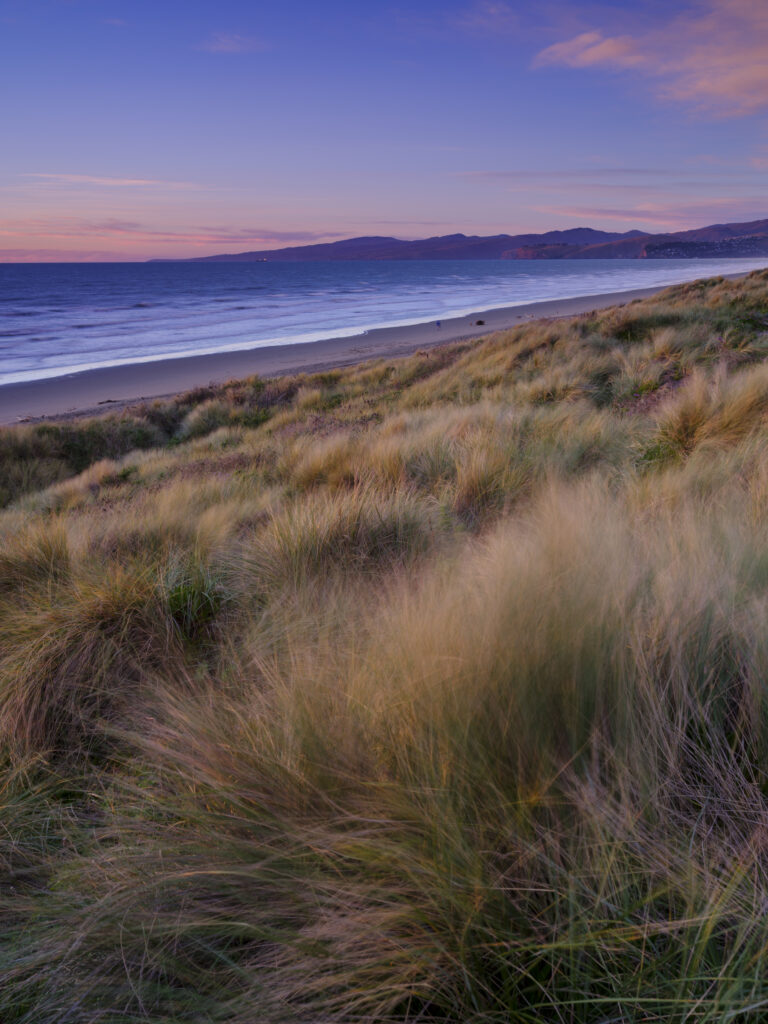 New Zealand, Christchurch, New South Brighton.