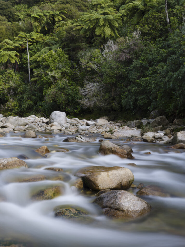 New Zealand, Nelson & Marlborough, Abel Tasman National Park.