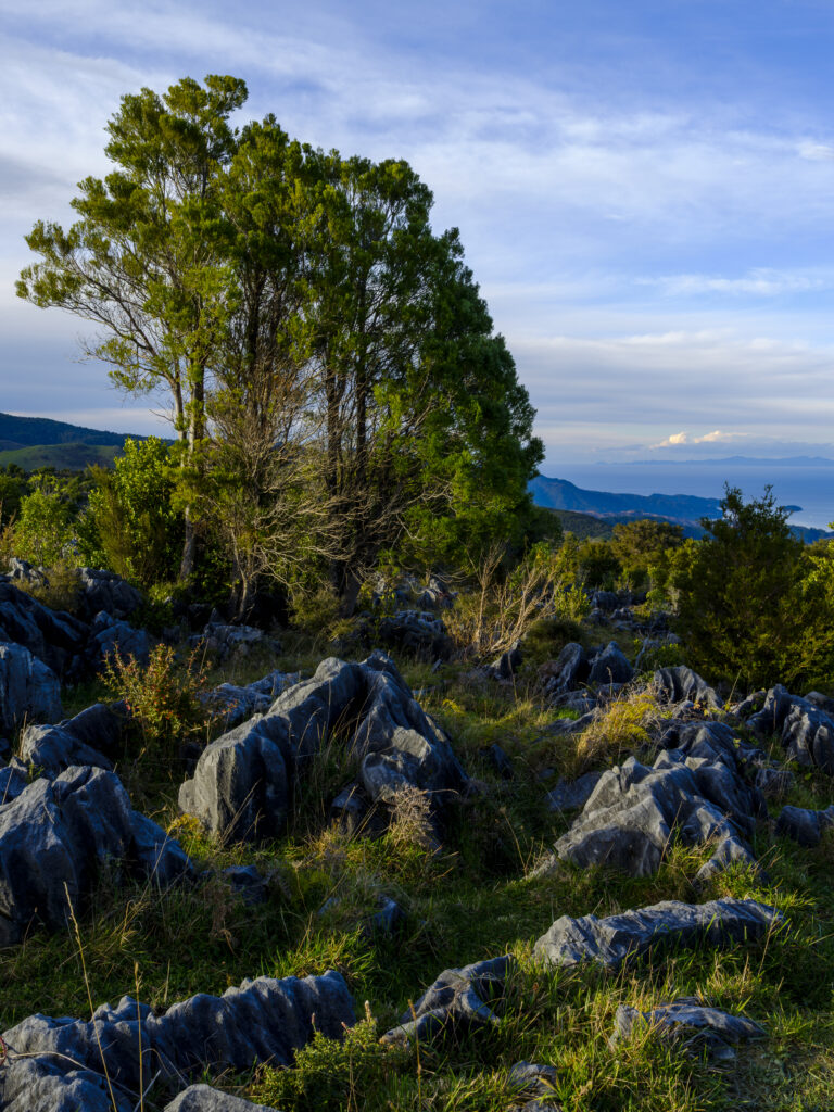 New Zealand, Nelson & Marlborough, Golden Bay.