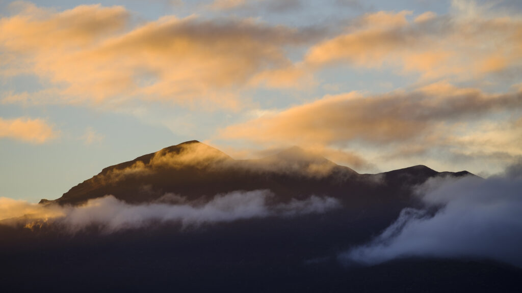 New Zealand, South Island, Fiordland National Park.