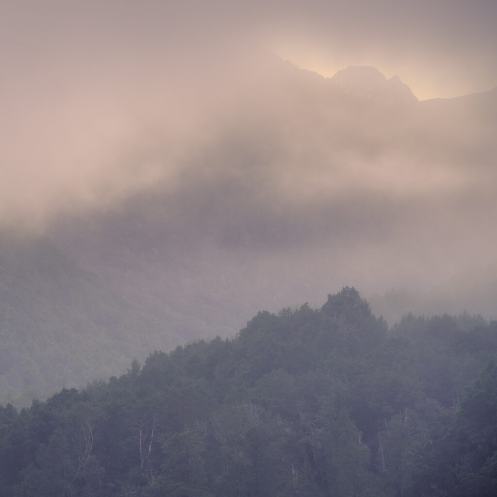 New Zealand, South Island, Fiordland National Park.