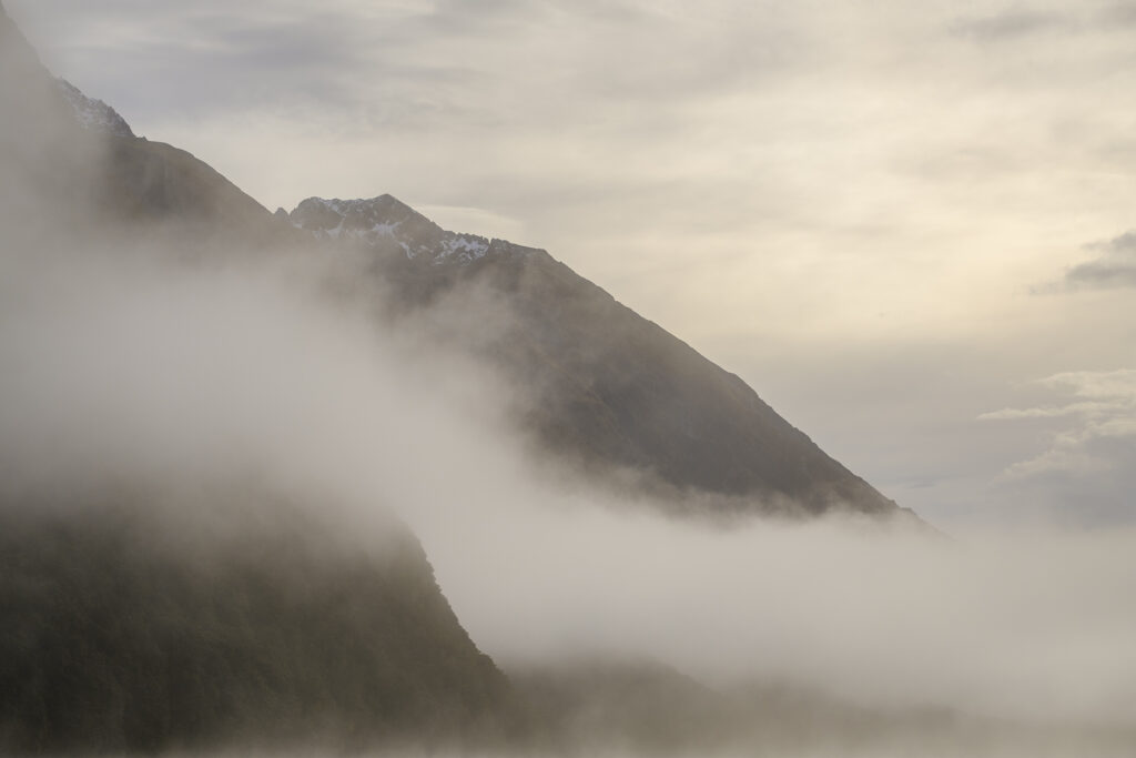 New Zealand, South Island, Fiordland National Park.