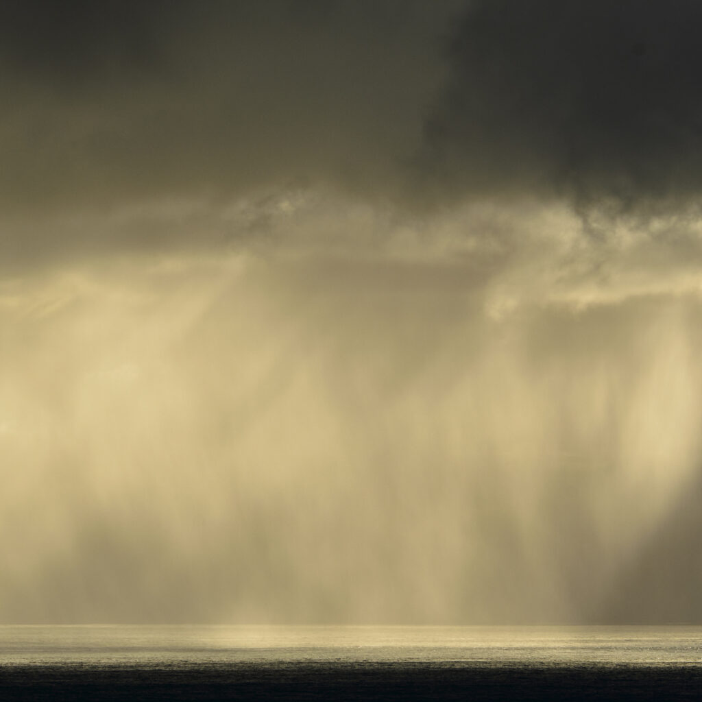 New Zealand, Westland, Haast.
