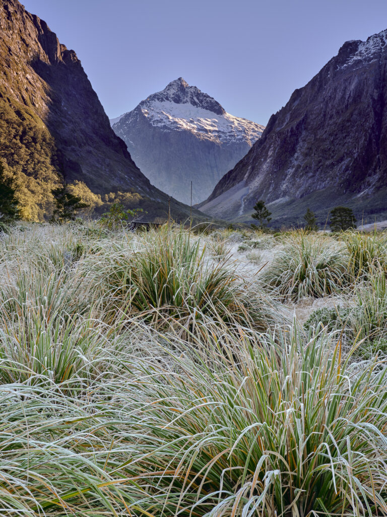 New Zealand, Southland, Fiordland National Park.