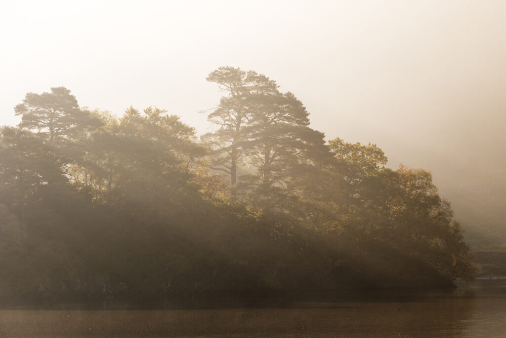 England, Cumbria, Lake District National Park.