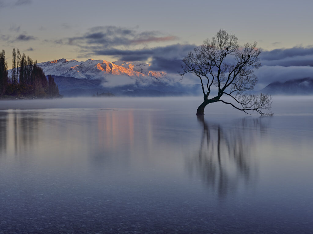 New Zealand, Otago, Lake Wanaka