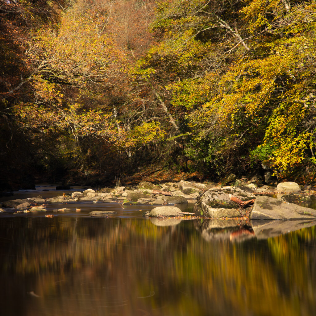England, Northumberland, Allen Banks and Staward Gorge.