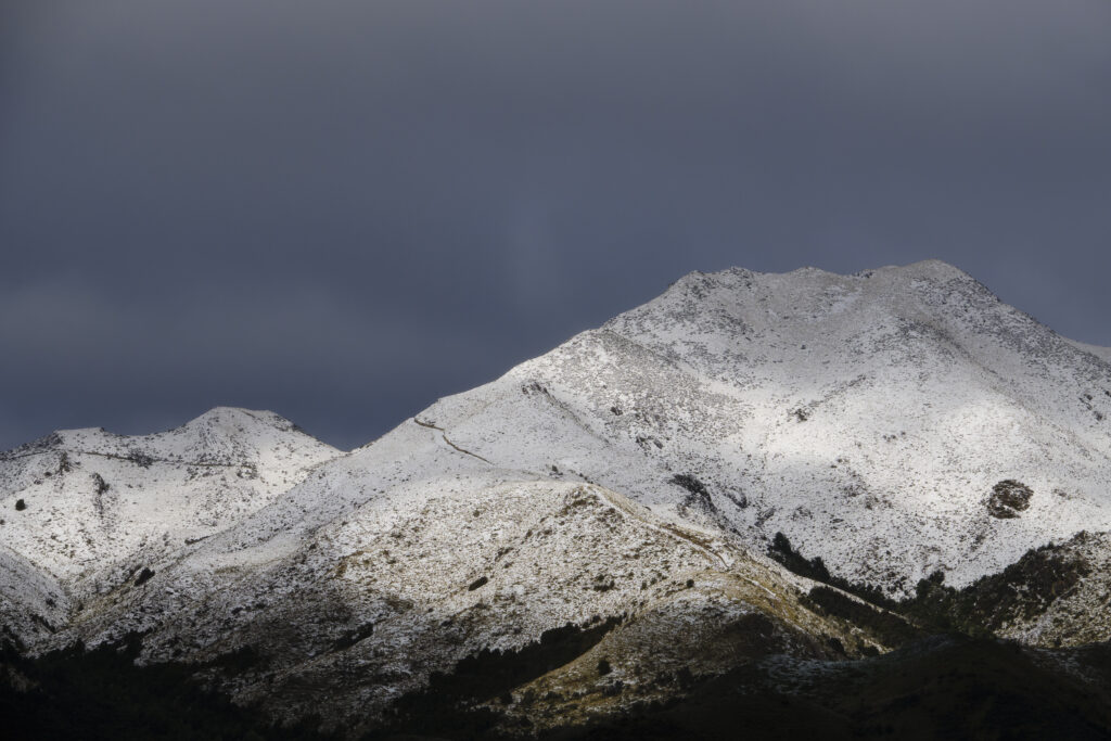 New Zealand, South Island, Canterbury.