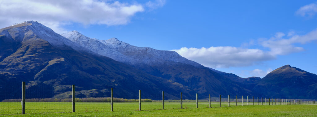 New Zealand, South Island, Mount Aspiring National Park.