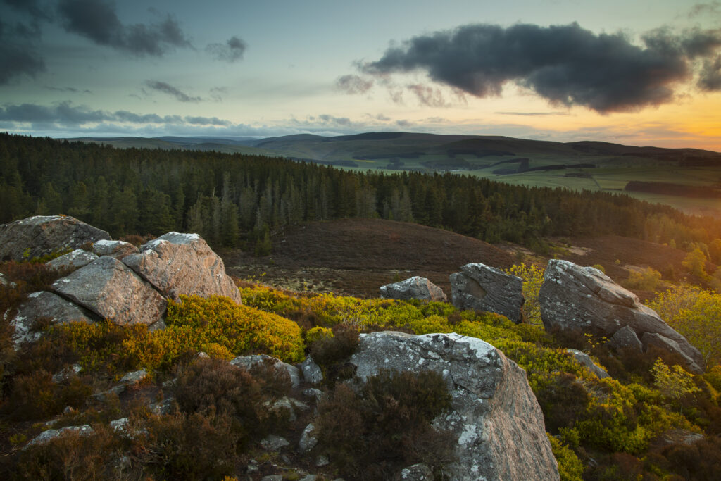 England, Northumberland, Northumberland National Park.