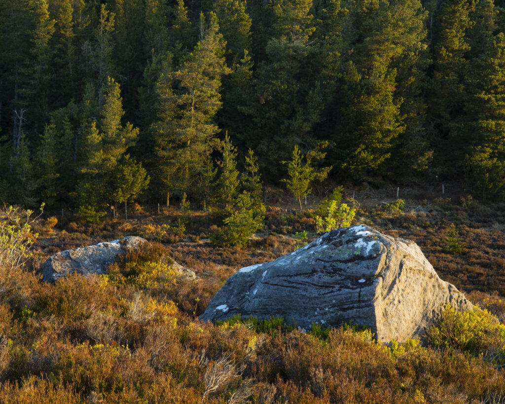 England, Northumberland, Northumberland National Park.
