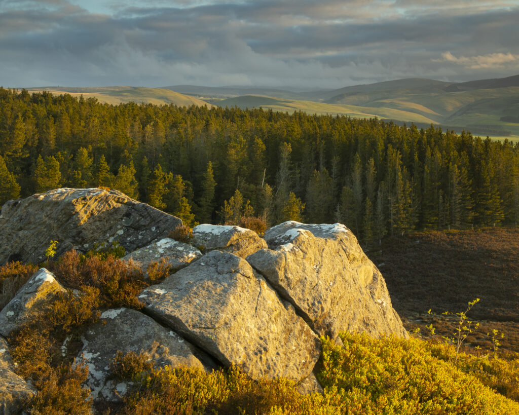 England, Northumberland, Northumberland National Park.