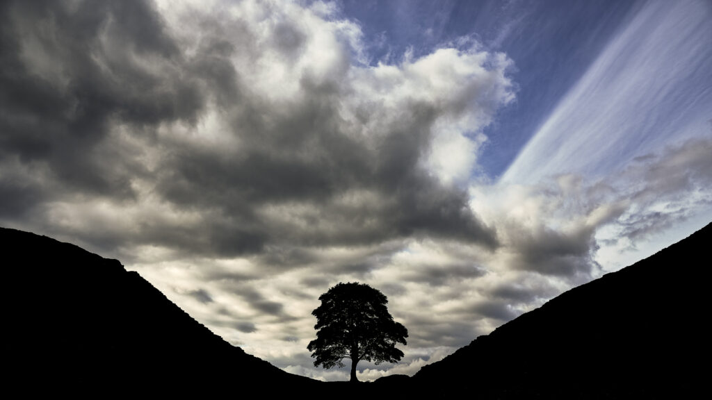 England, Northumberland, Northumberland National Park.