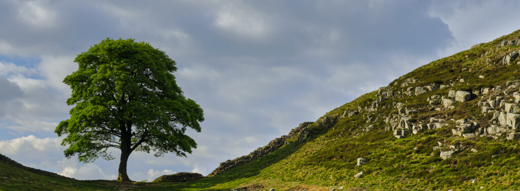 England, Northumberland, Northumberland National Park.
