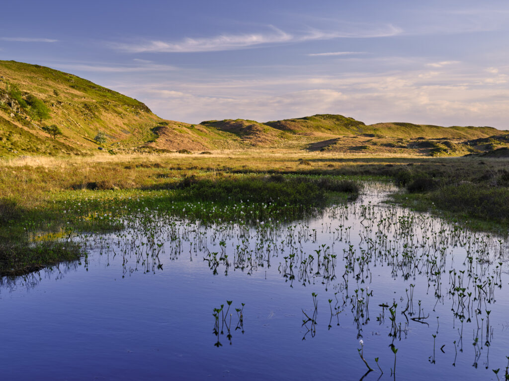 England, Cumbria, Lake District National Park.