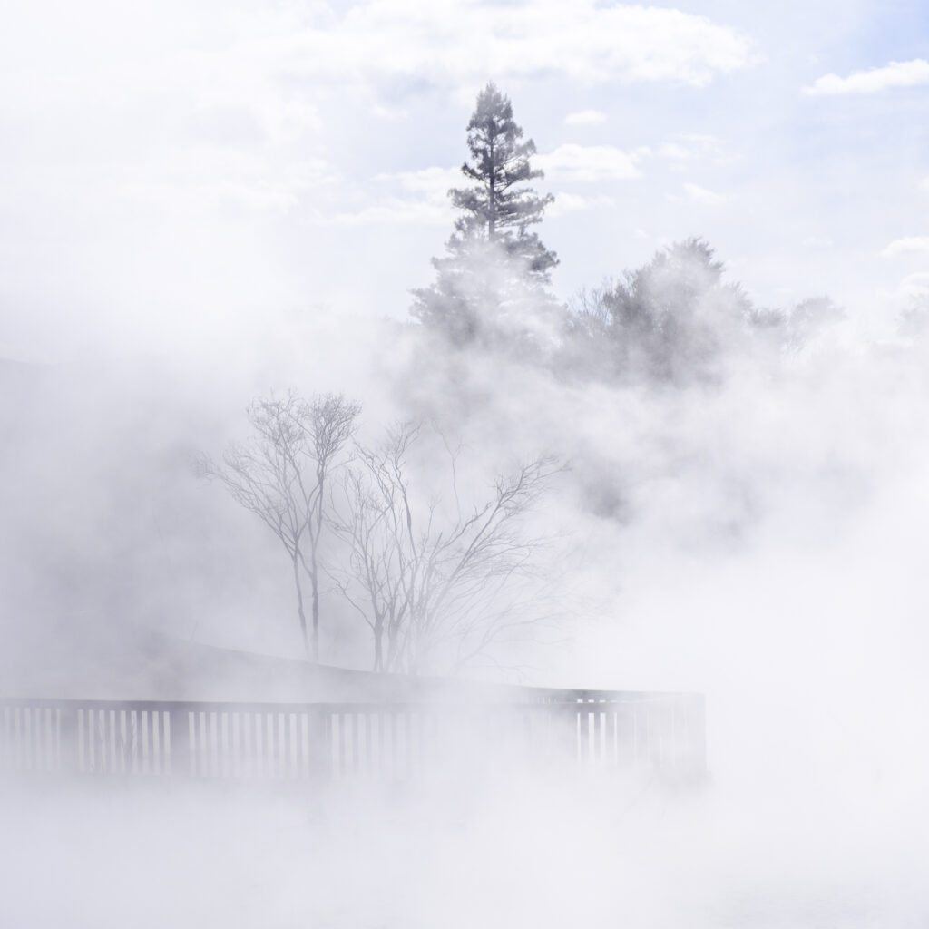 New Zealand, North Island, Rotorua.